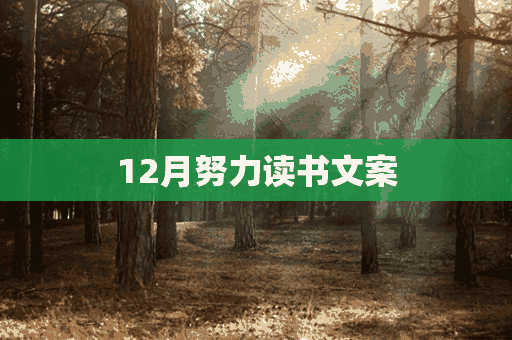 12月努力读书文案